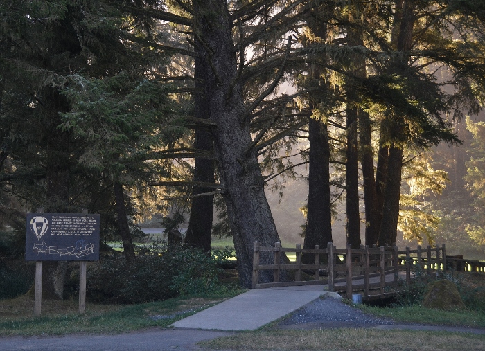 Sunset Bay State Park picnic area